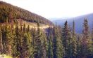 US-40, north side of Berthoud Pass1
